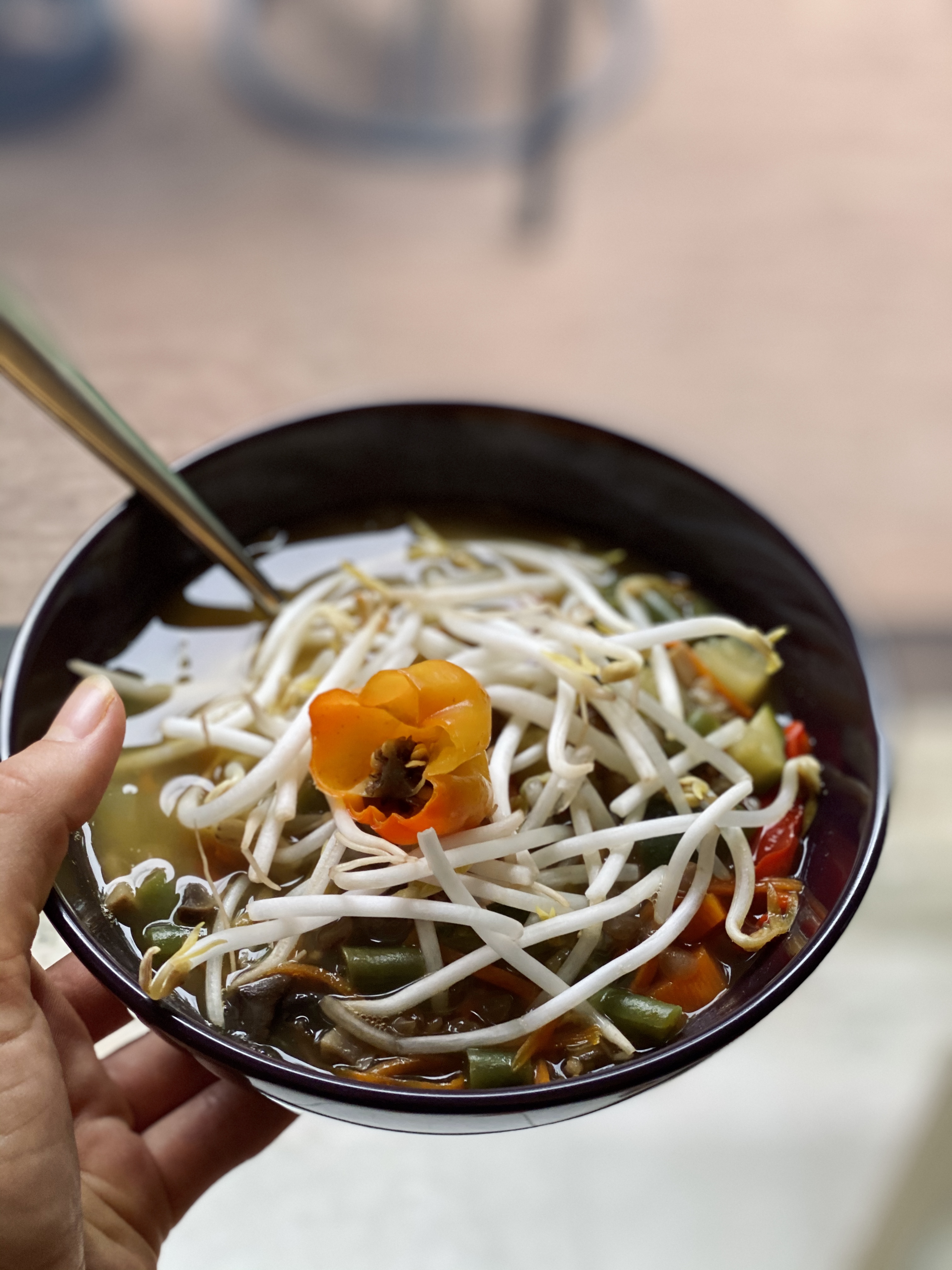 EVERYTHING BUT THE KITCHEN SINK SOUP