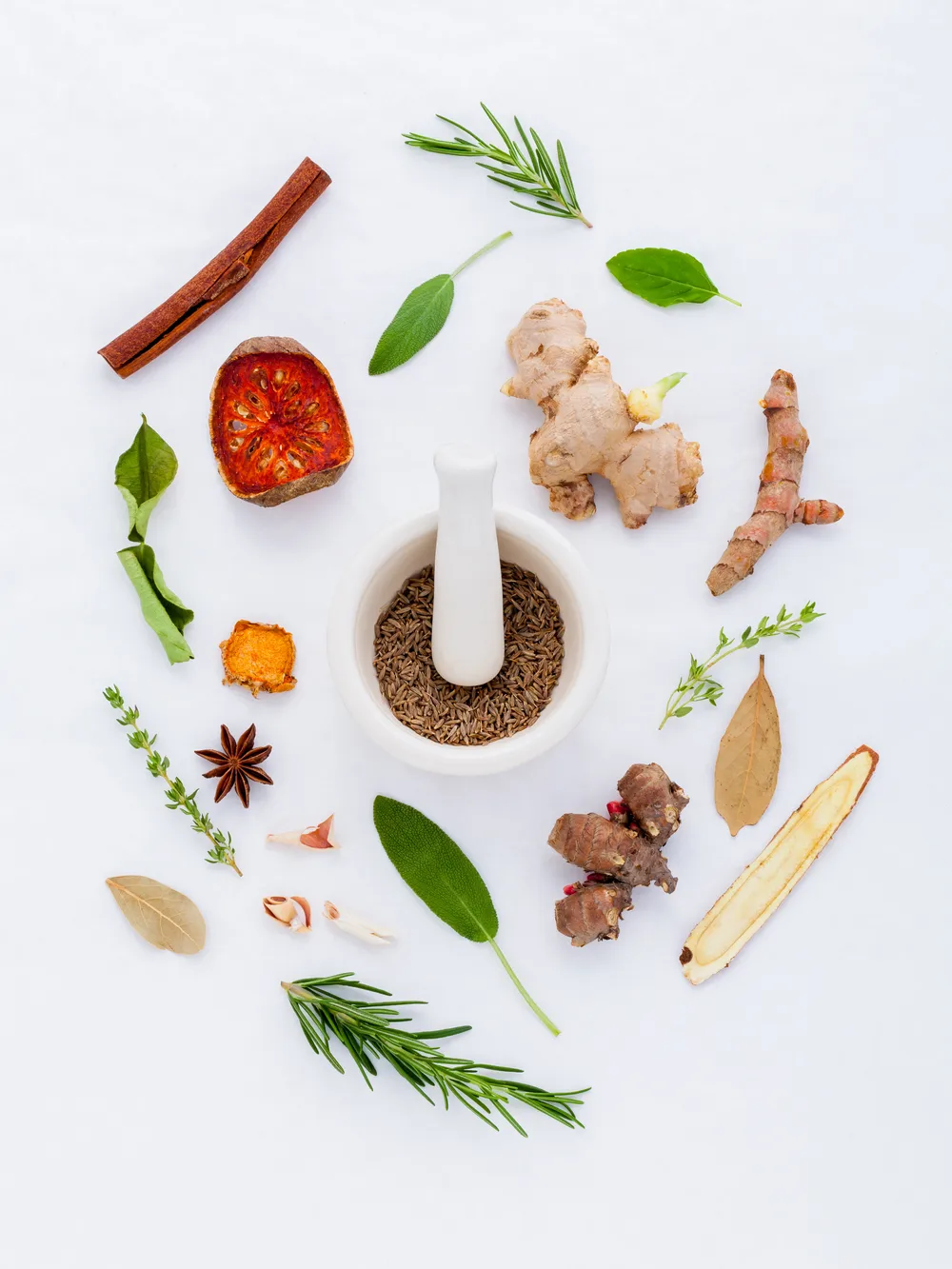 THE IMMUNE SYSTEM & HOW TO LEND IT A HELPING HAND